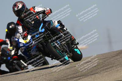 media/Oct-06-2025-2WTD (Mon) [[90522c3a0b]]/B Group/1120am (Grapevine)/